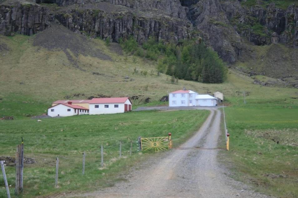 Guesthouse Stekkatun Skalafell ภายนอก รูปภาพ